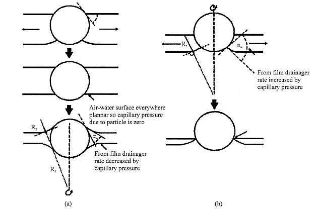 کهن تاج کیمیا