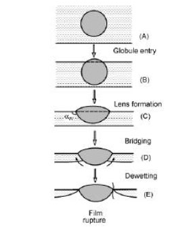 2 - ضد کف ها و انواع مکانیزم آن ها