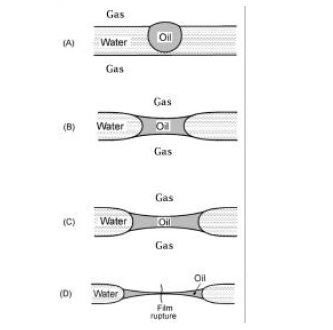 5 - ضد کف ها و انواع مکانیزم آن ها