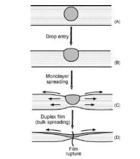 6 - ضد کف ها و انواع مکانیزم آن ها