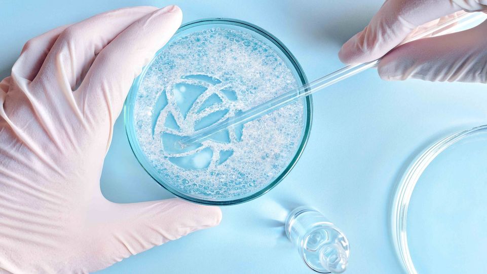 کهن تاج کیمیا